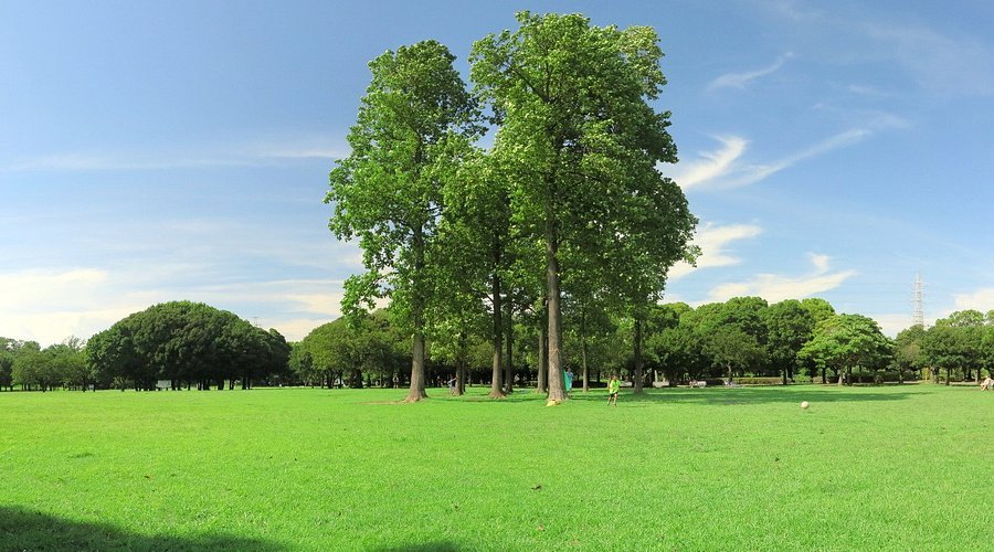 🌳 키시네 공원 (기시네코엔) 이미지 1